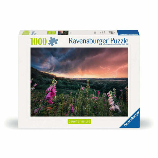 Ravensburger Puzzle Ein Sturm zieht auf, Erwachsenenpuzzle, 1000 Teile, 12000793