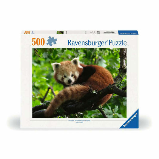 Ravensburger Puzzle Süßer roter Panda, Erwachsenenpuzzle, 500 Teile, 12000369