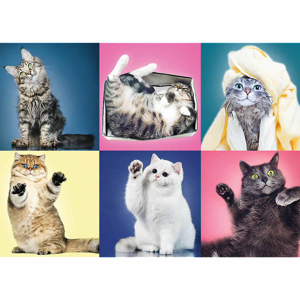 Trefl Puzzle Cats, Kittens, Animals, 500 pieces, 48 ​​x 34 cm, 37377