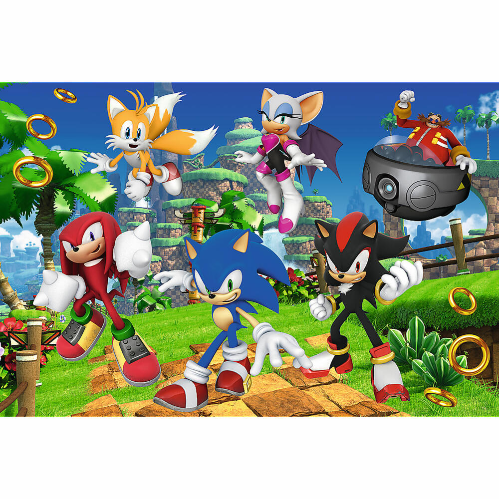 Trefl Puzzle Sonic, children's puzzle, 160 pieces, 41 x 27.5 cm, 15421