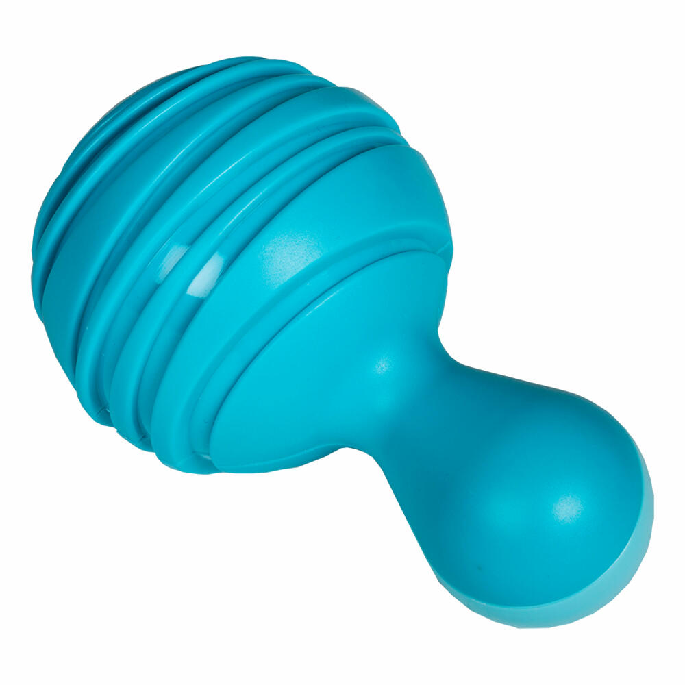 Voggenreiter Music for Little Ones Tropical Maracas, Set of 2, Rattle, Sound Instrument, Children's Rattle, Hand Rattle, Baby Toy, From 6 Months, Green / Blue, 1116
