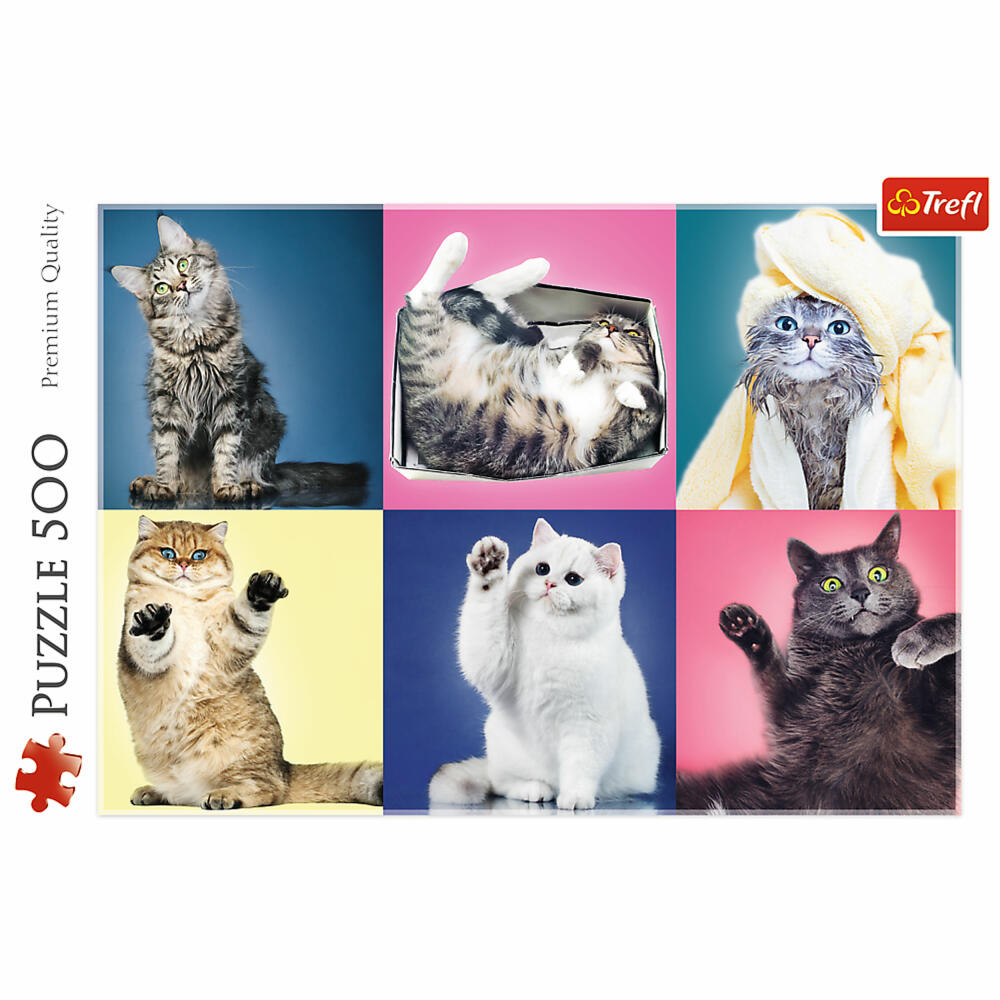 Trefl Puzzle Cats, Kittens, Animals, 500 pieces, 48 ​​x 34 cm, 37377