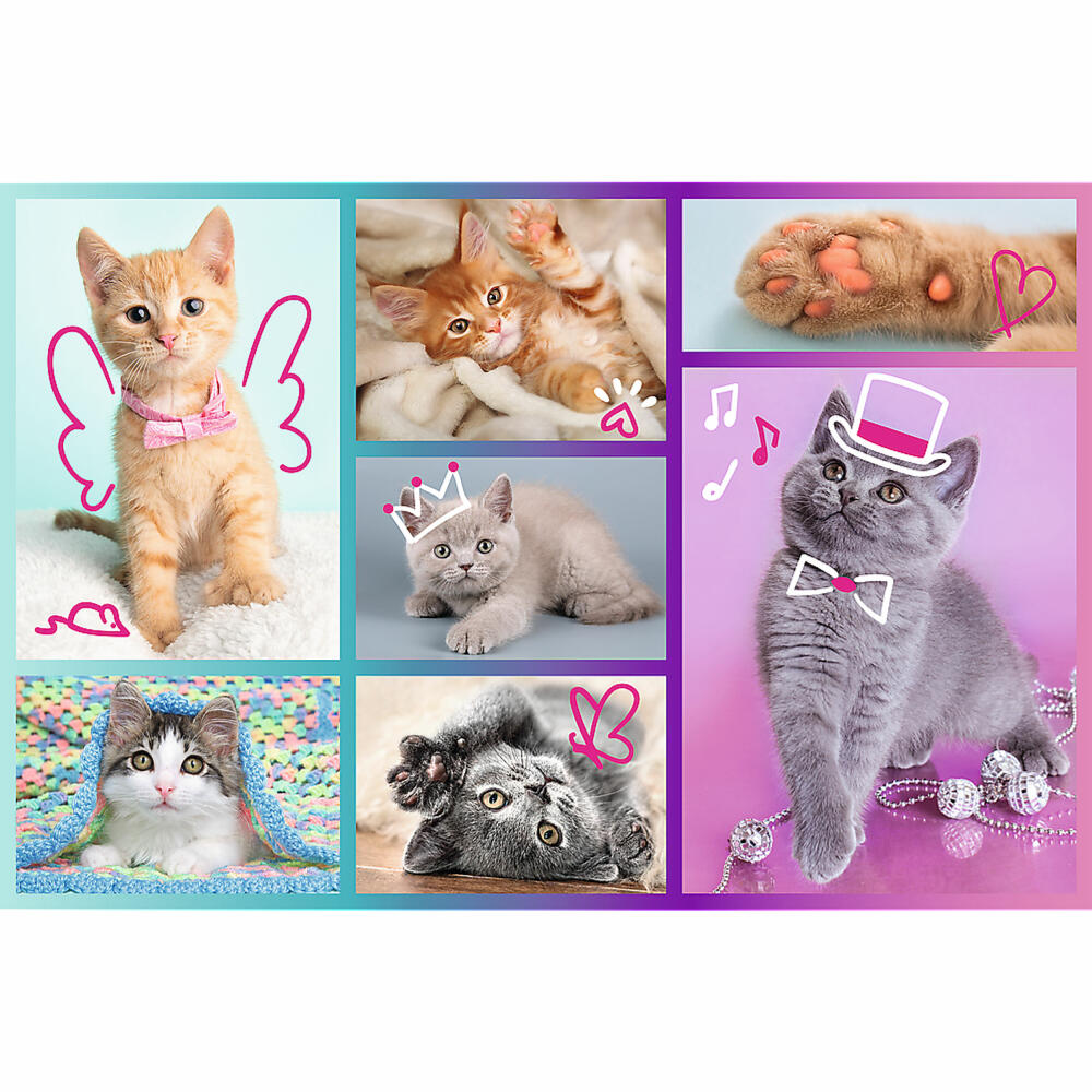 Trefl Puzzle Cats, children's puzzle, 60 pieces, 33 x 22 cm, 17373
