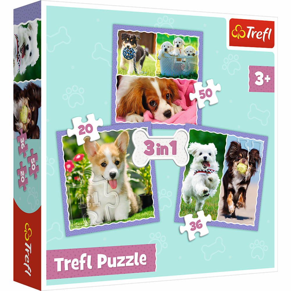 Trefl 3 in 1 Puzzle - Hunde, 20 + 50 + 36 Teile, 20 x 19.5 cm, 34854