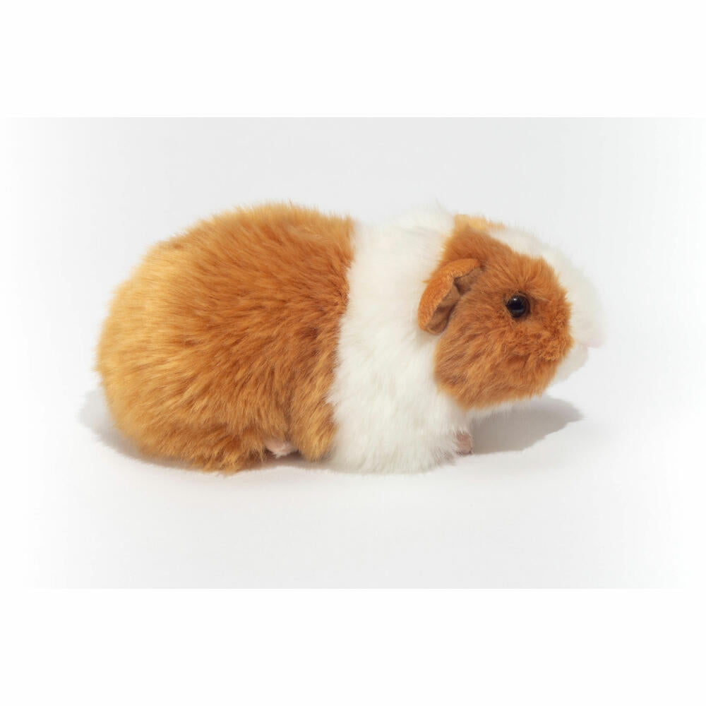 Teddy Hermann Meerschweinchen, Kuscheltier, Stofftier, Plüschtier, Haustier, Plüsch, Gold-Weiß, 20 cm, 92639
