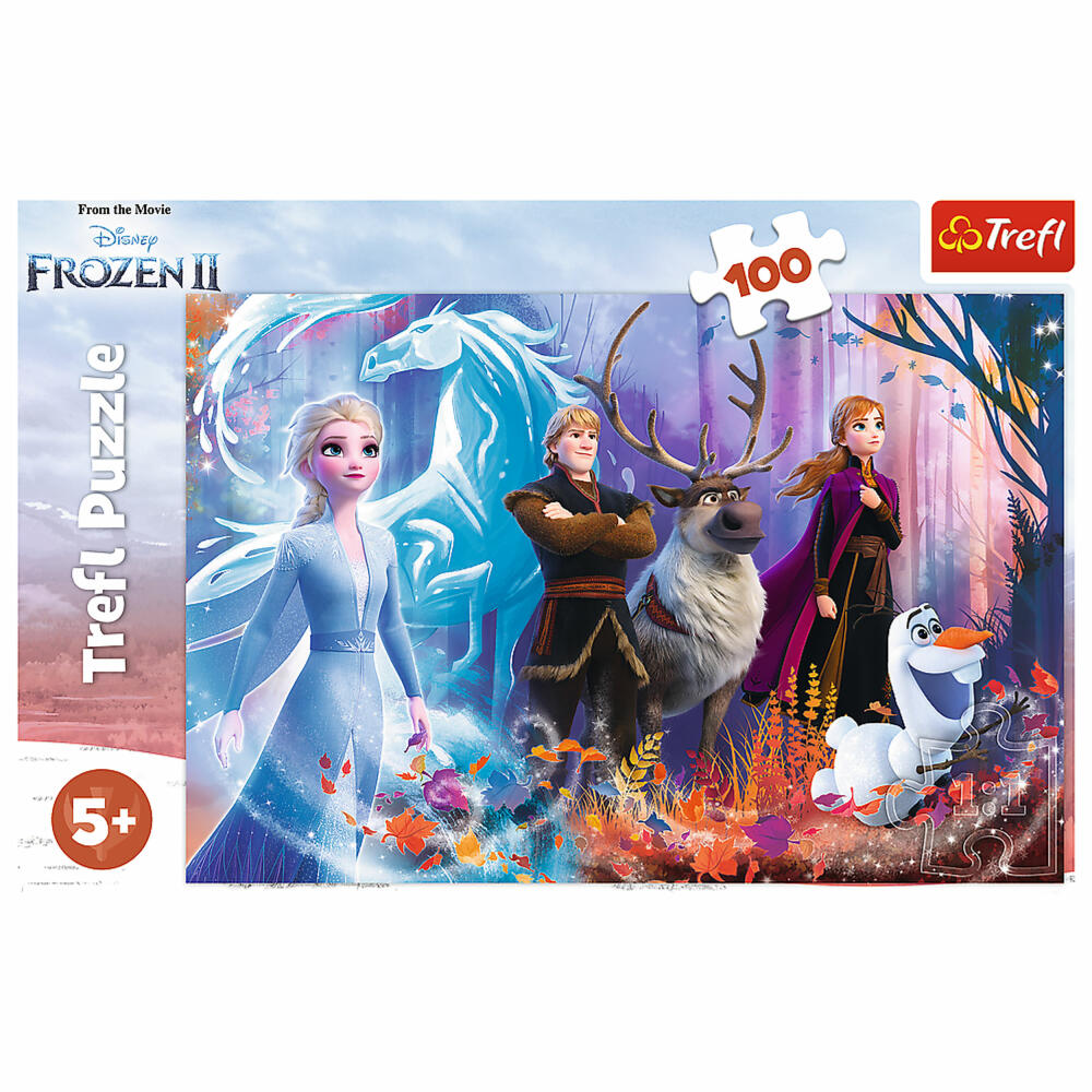 Trefl Puzzle Disney Frozen, children's puzzle, 100 pieces, 41 x 27.5 cm, 16366