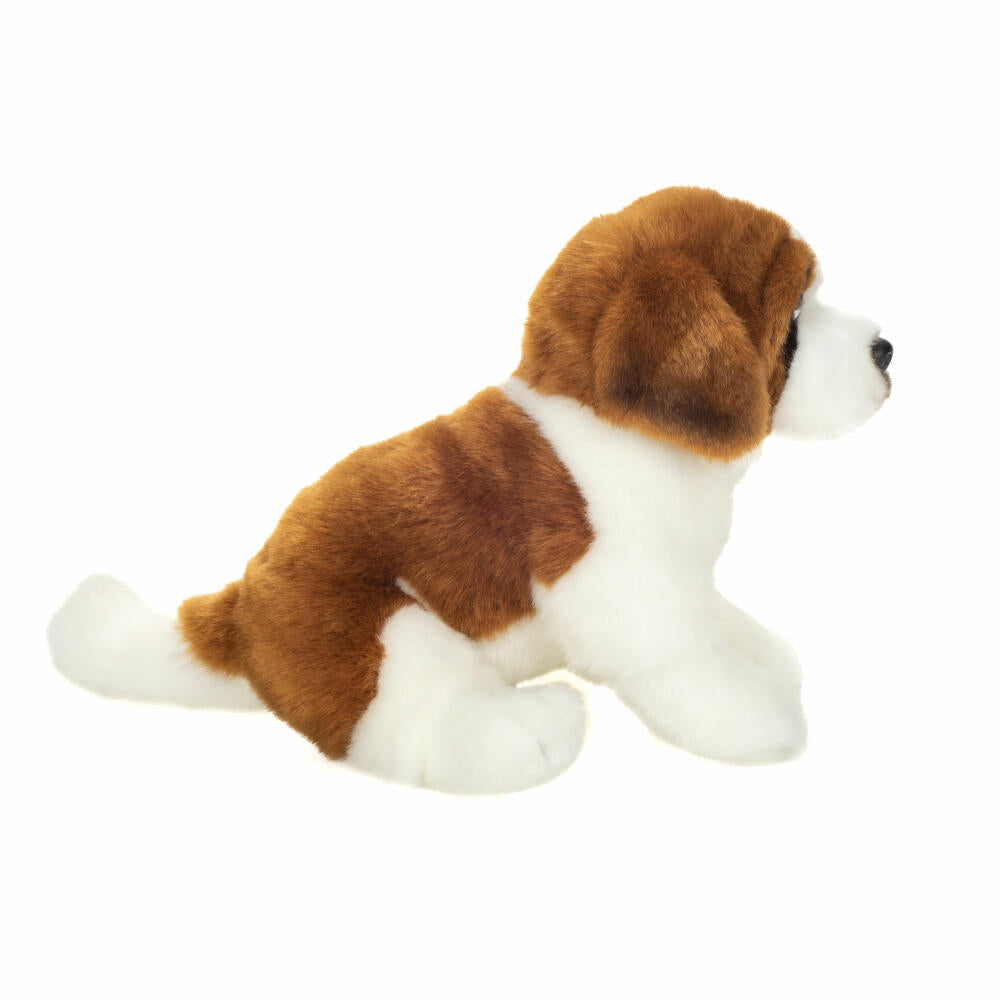 Teddy Hermann Bernhardiner sitzend, Plüschtier, Hund, Plüsch, Braun, Weiß, 25 cm, 919834
