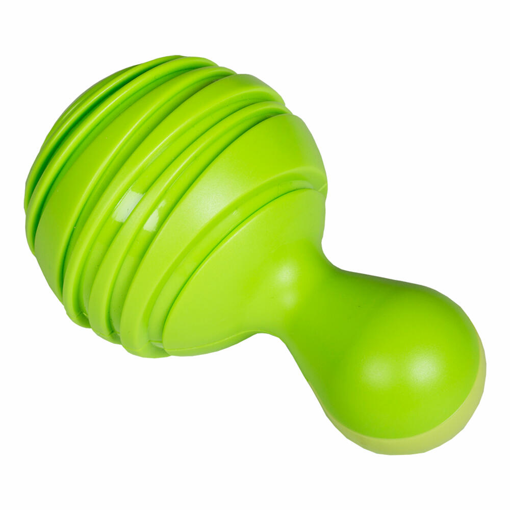 Voggenreiter Music for Little Ones Tropical Maracas, Set of 2, Rattle, Sound Instrument, Children's Rattle, Hand Rattle, Baby Toy, From 6 Months, Green / Blue, 1116