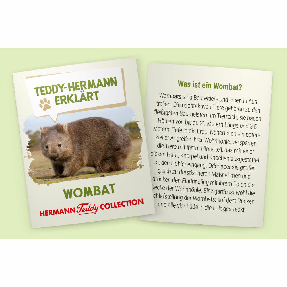 Teddy Hermann Wombat, cuddly toy, stuffed toy, plush toy, wild animal, special edition Teddy-Hermann explains, plush, brown, 26 cm, 91426