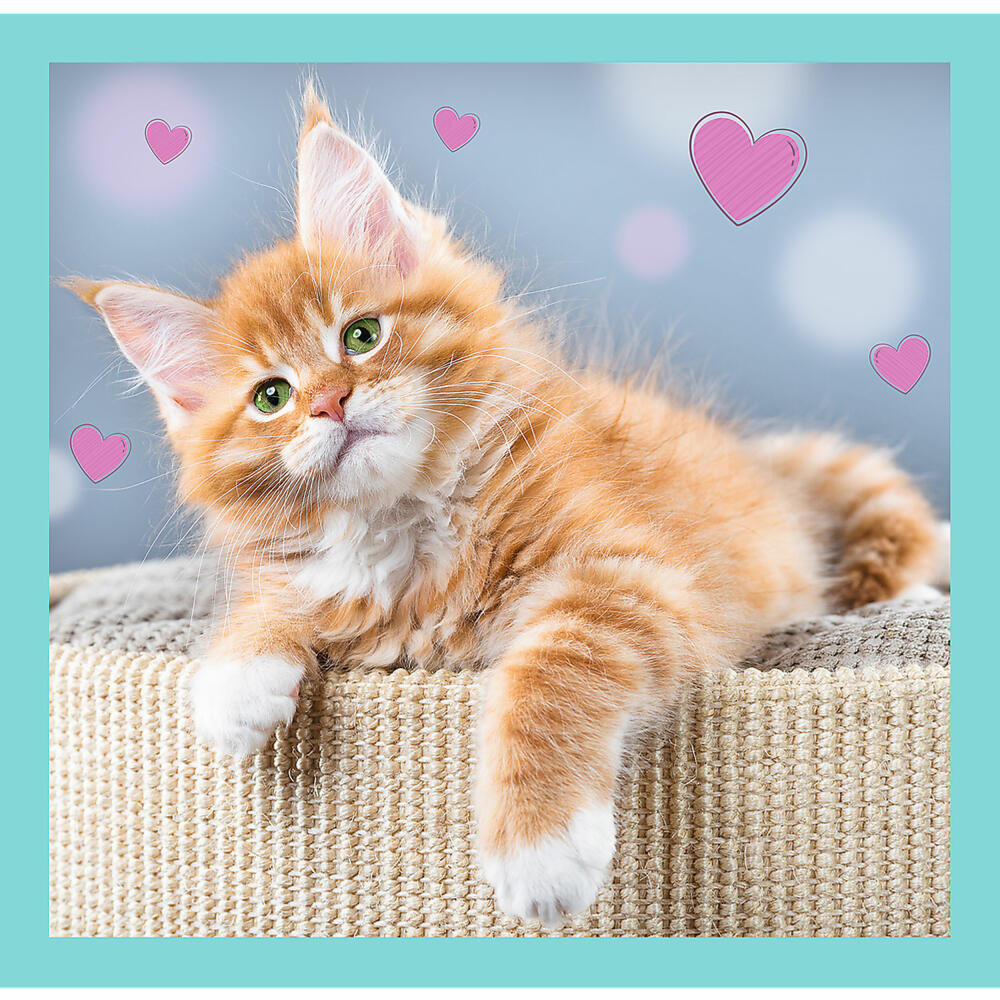 Trefl 3 in 1 Puzzle - Katzen, 20 + 50 + 36 Teile, 20 x 19.5 cm, 34862