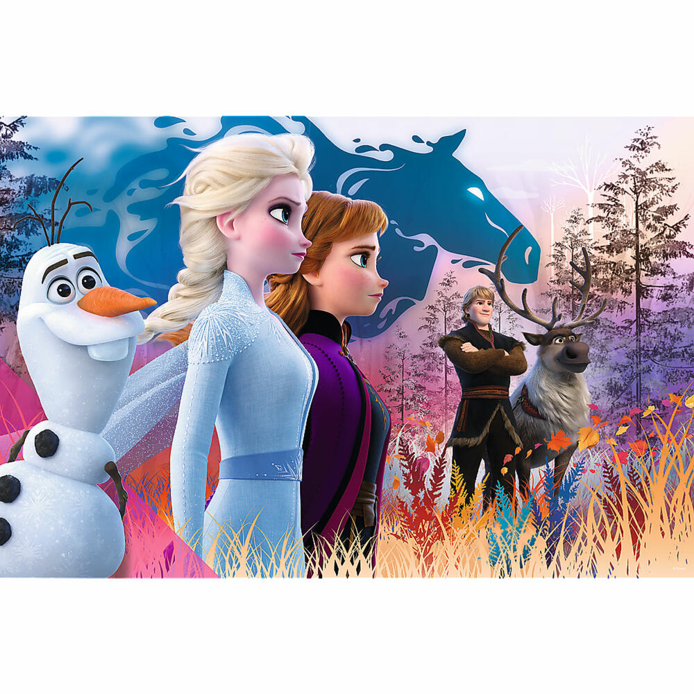 Trefl Maxi Puzzle Disney Frozen 2, children's puzzle, 24 pieces, 60 x 40 cm, 14298