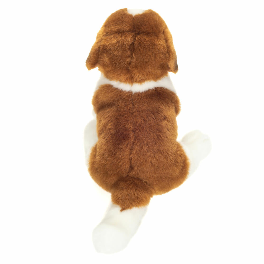 Teddy Hermann Bernhardiner sitzend, Plüschtier, Hund, Plüsch, Braun, Weiß, 25 cm, 919834