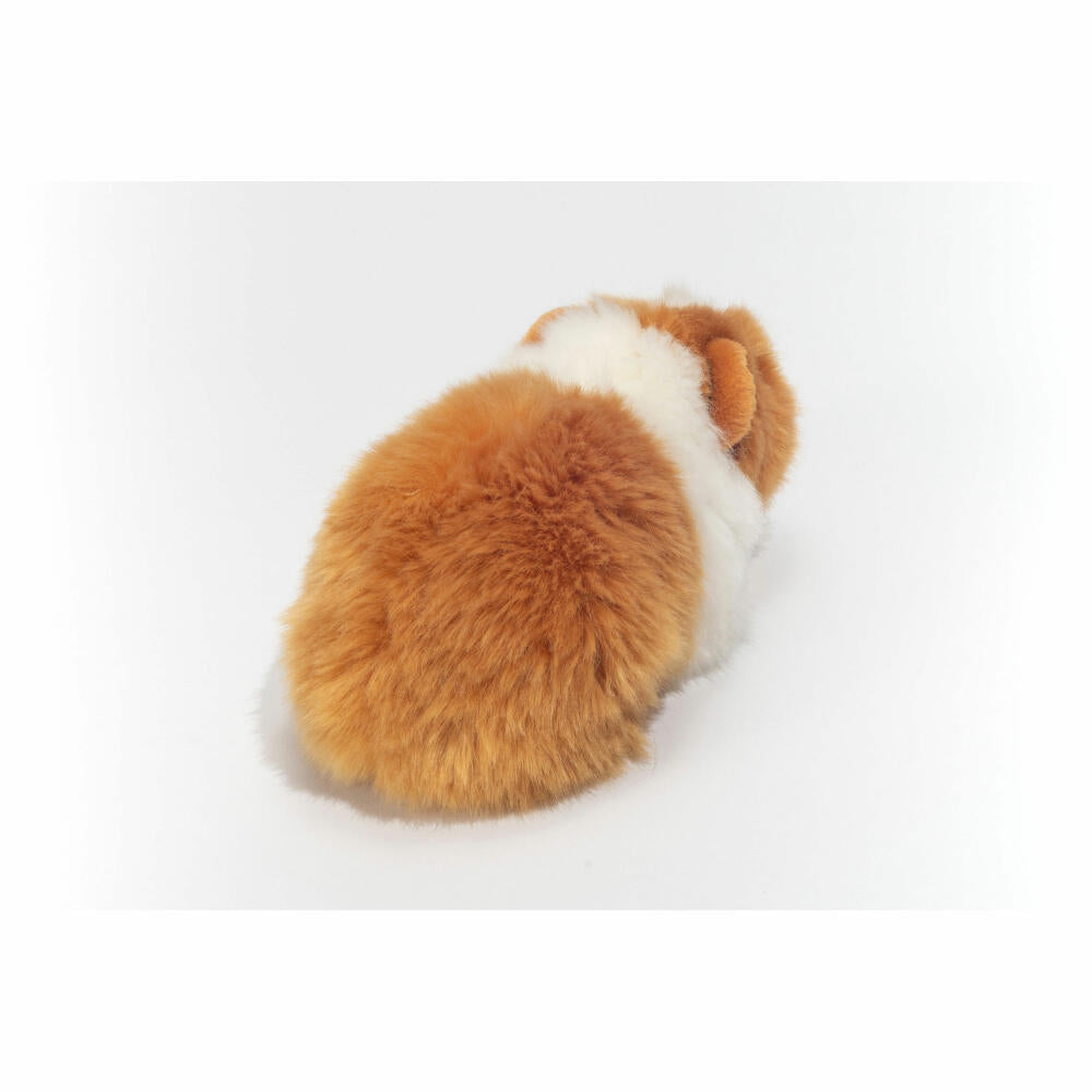 Teddy Hermann Meerschweinchen, Kuscheltier, Stofftier, Plüschtier, Haustier, Plüsch, Gold-Weiß, 20 cm, 92639