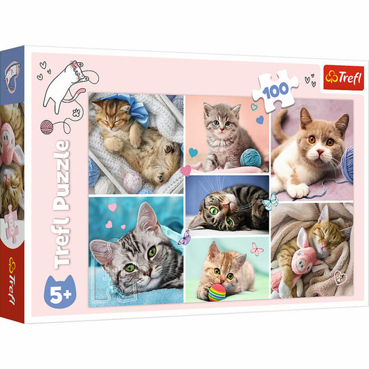 Trefl Puzzle Cat World, children's puzzle, 100 pieces, 41 x 27.5 cm, 16420