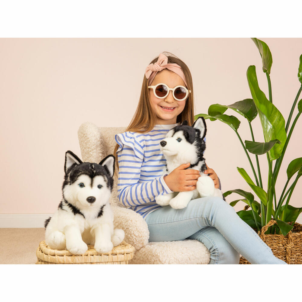 Teddy Hermann Husky sitting, cuddly toy, stuffed toy, plush toy, dog, grey white, 30 cm, 919766