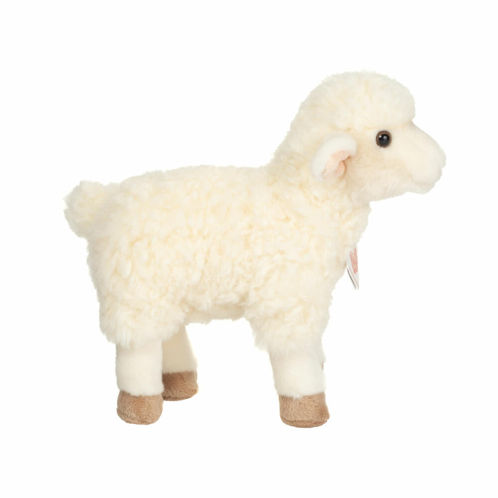 Teddy Hermann Lamb standing, cuddly toy, stuffed toy, plush toy, domestic and farm animal, white cream, 25 cm, 934400