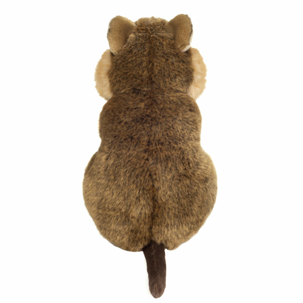 Teddy Hermann Quokka, cuddly toy, stuffed toy, plush toy, exotic wild animal, light brown, 24 cm, 923251