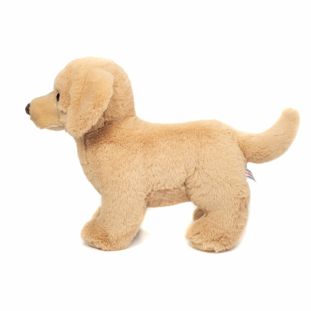 Teddy Hermann Golden Retriever stehend, Kuscheltier, Stofftier, Plüschtier, Hund, Hellbraun, 30 cm, 919780