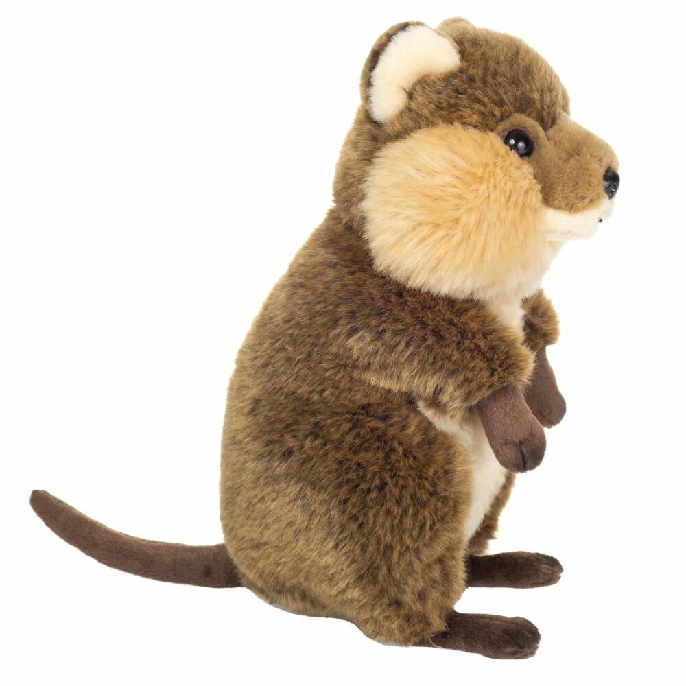 Teddy Hermann Quokka, cuddly toy, stuffed toy, plush toy, exotic wild animal, light brown, 24 cm, 923251