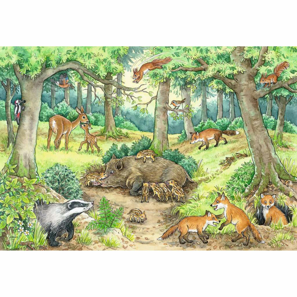 Ravensburger Why? What for? What reason? Animals in the forest and on the meadow, puzzle, children's puzzle, laying game, 2 x 12 pieces, 05673