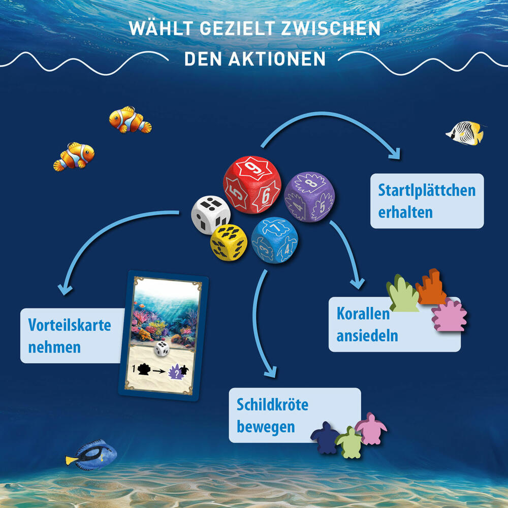 KOSMOS Australis, Strategiespiel, Gesellschaftsspiel, Würfelspiel, ab 10 Jahren, 683467