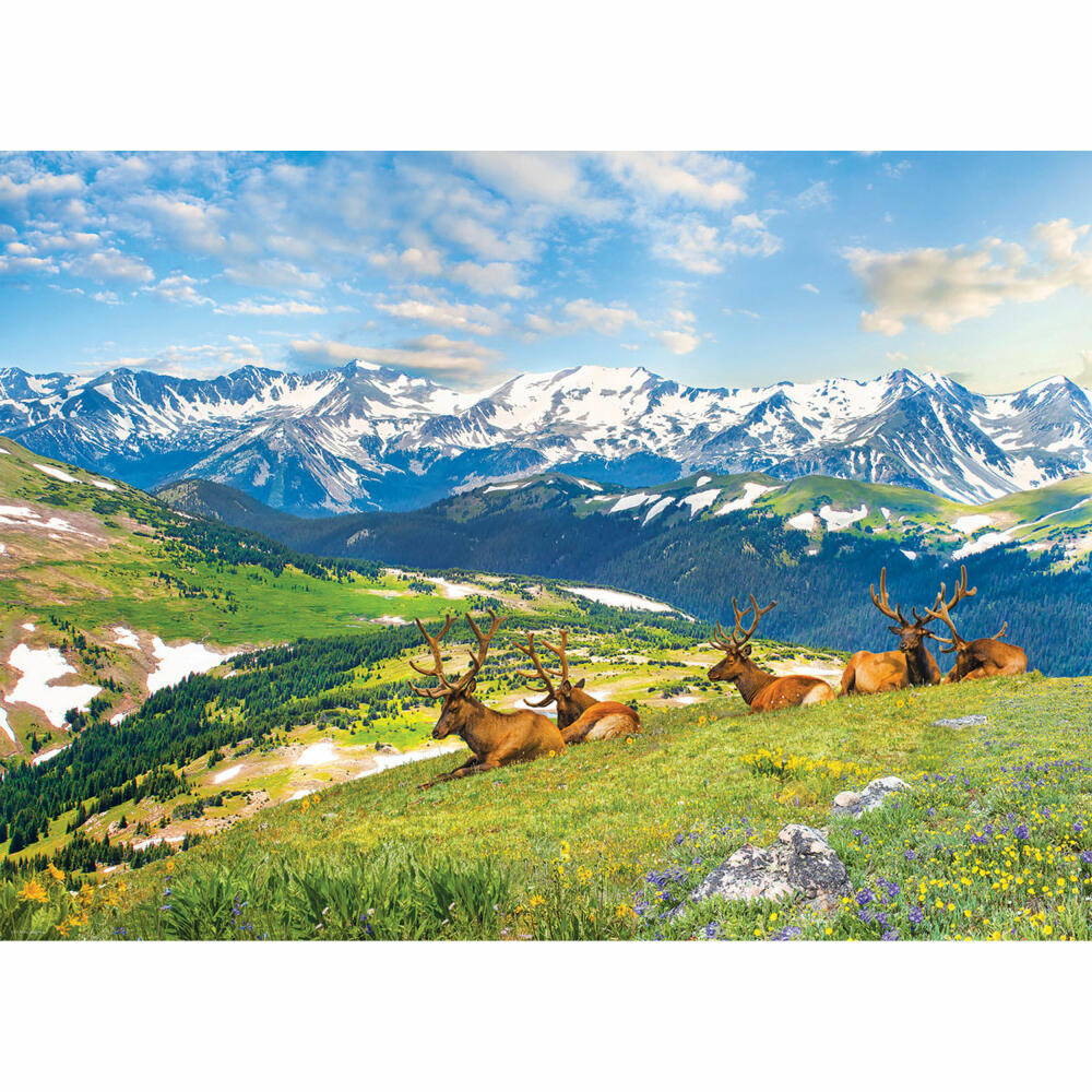 Eurographics Puzzle Bergelche, Smart Cut, 1000 Teile, 68 x 48 cm, 6000-5705