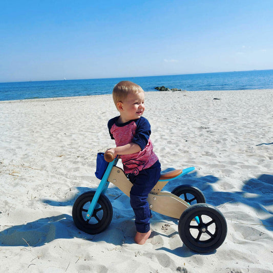 Legler Balance Bike Trike Maxi 2 in 1 Turquoise, Toy, from 12 months, 11609