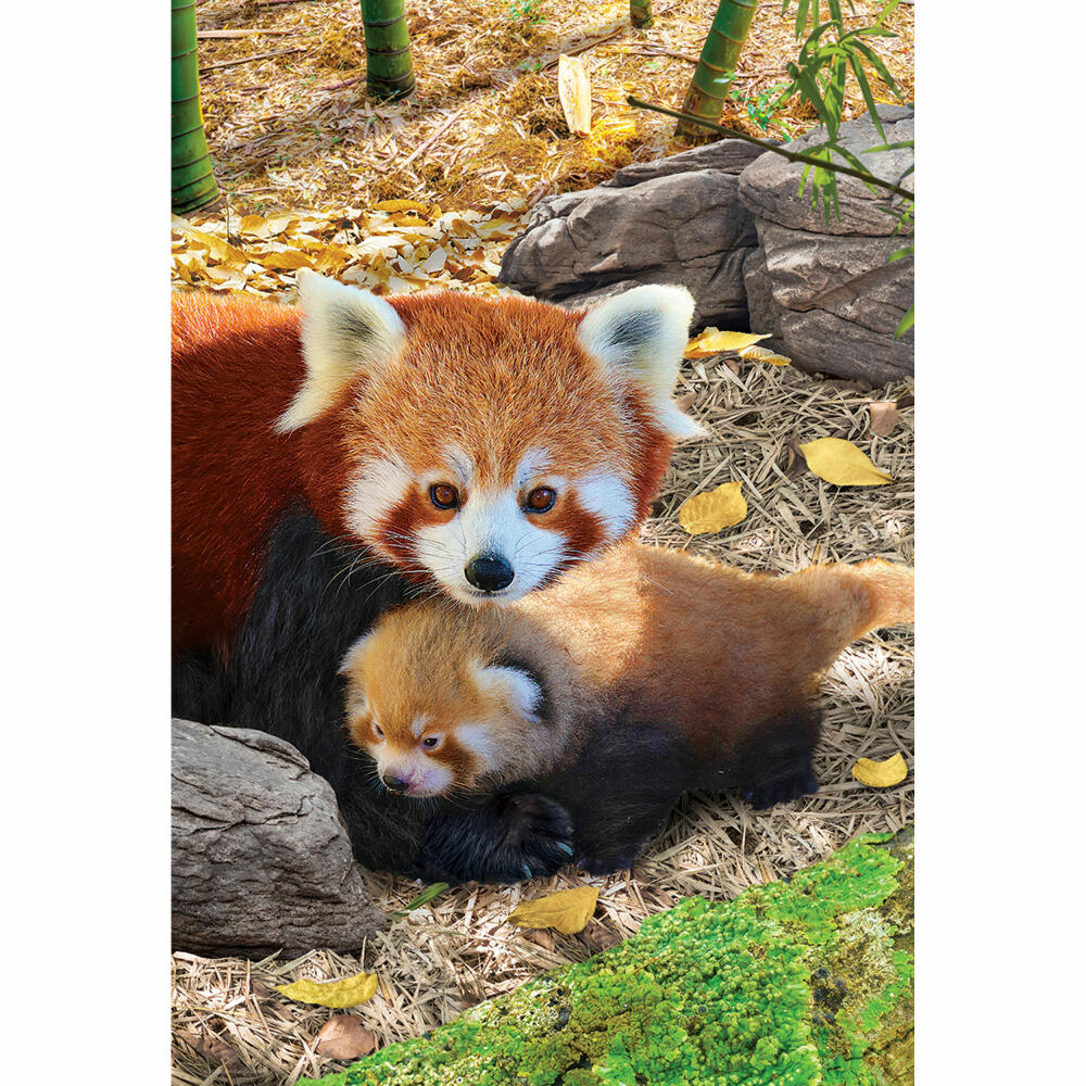 Eurographics Puzzle Rote Pandas, Pandababy, 250 Teile, 33 x 48 cm, 8251-5557