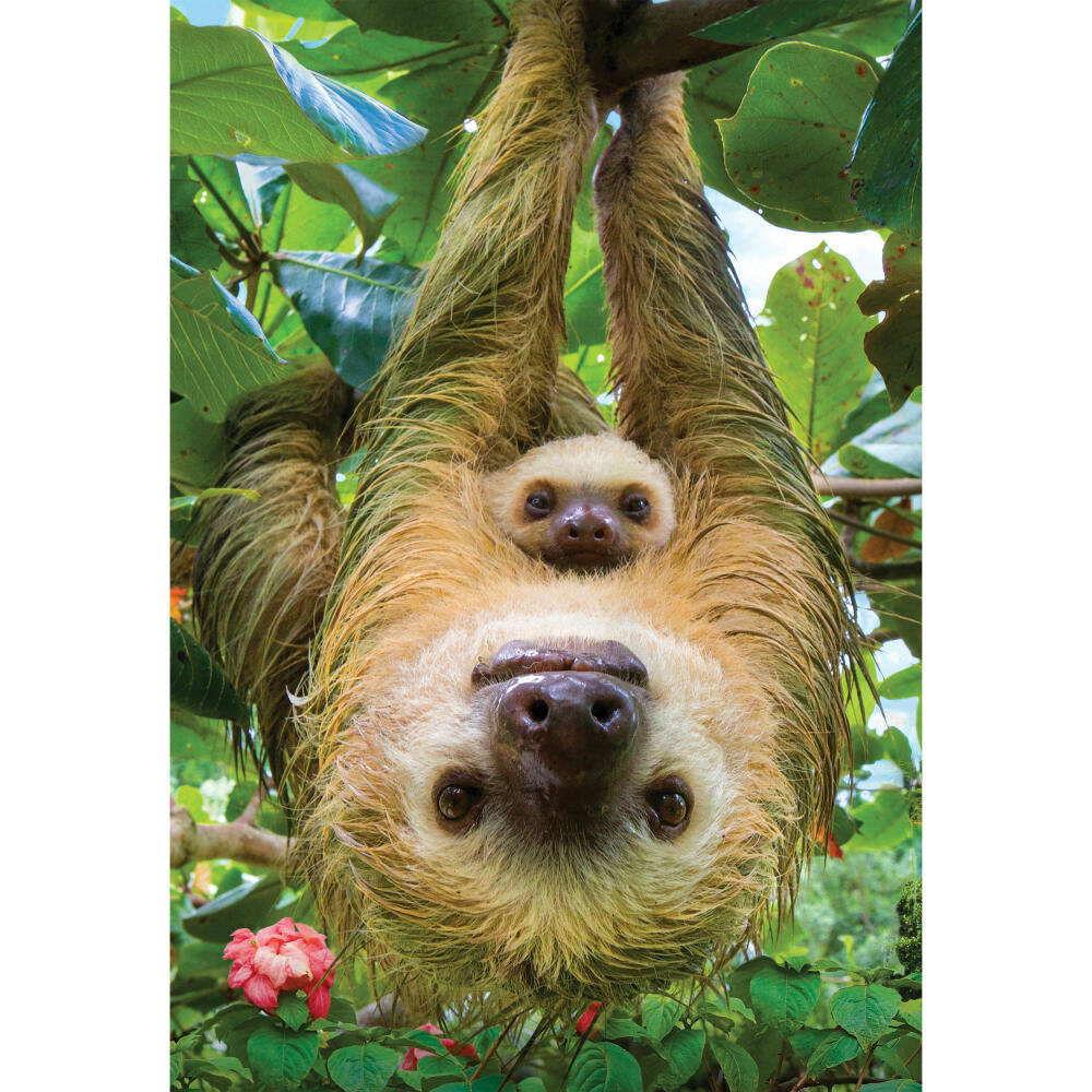 Eurographics Puzzle Faultiere, Faultier Mama, 250 Teile, 33 x 48 cm, 8251-5556