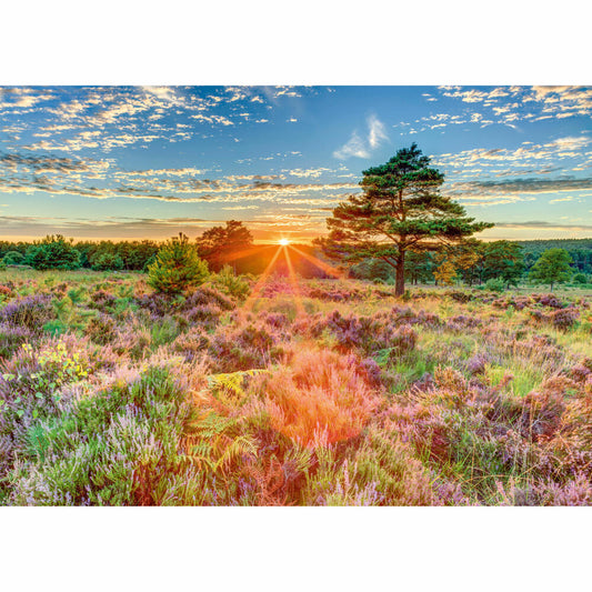 Schmidt Spiele Puzzle Heide im Sonnenuntergang, Erwachsenenpuzzle, Standard, 1000 Teile, 59768