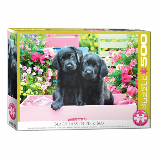 Eurographics Puzzle Schwarze Labradore in einer rosa Schachtel, 500 Teile, 68 x 48 cm, 6500-5462