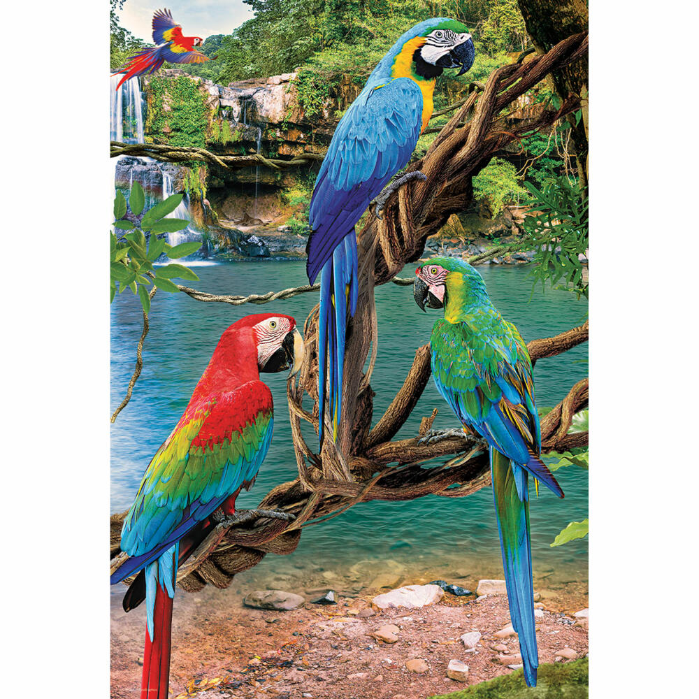 Eurographics Puzzle Aras, 250 pieces, 33 x 48 cm, 8251-5588
