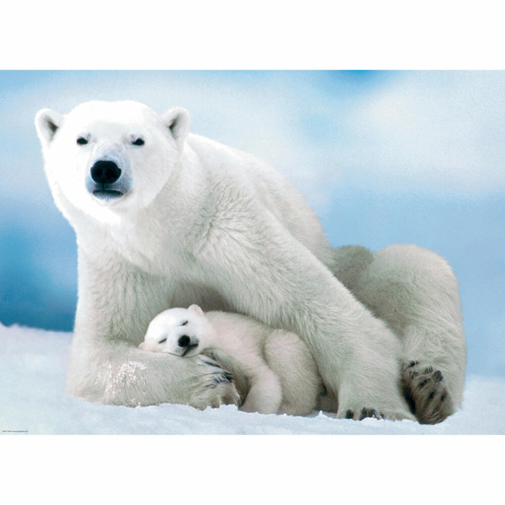 Eurographics Puzzle Polar Bear &amp; Baby, Polar Bears, 1000 pieces, 68 x 48 cm, 6000-1198