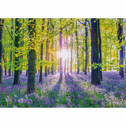 Schmidt Spiele Puzzle Zarte Glockenblumen im Wald, Erwachsenenpuzzle, Standard, 1000 Teile, 59767