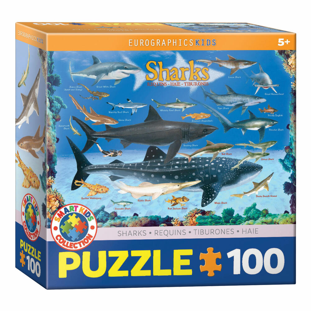 Eurographics Puzzle Haie, Tiere, Kinderpuzzle, 100 Teile, 48 x 33 cm, 6100-0079