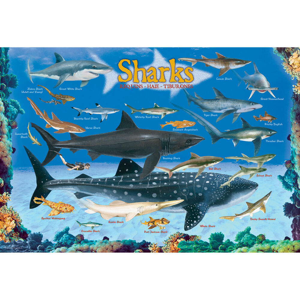 Eurographics Puzzle Haie, Tiere, Kinderpuzzle, 100 Teile, 48 x 33 cm, 6100-0079