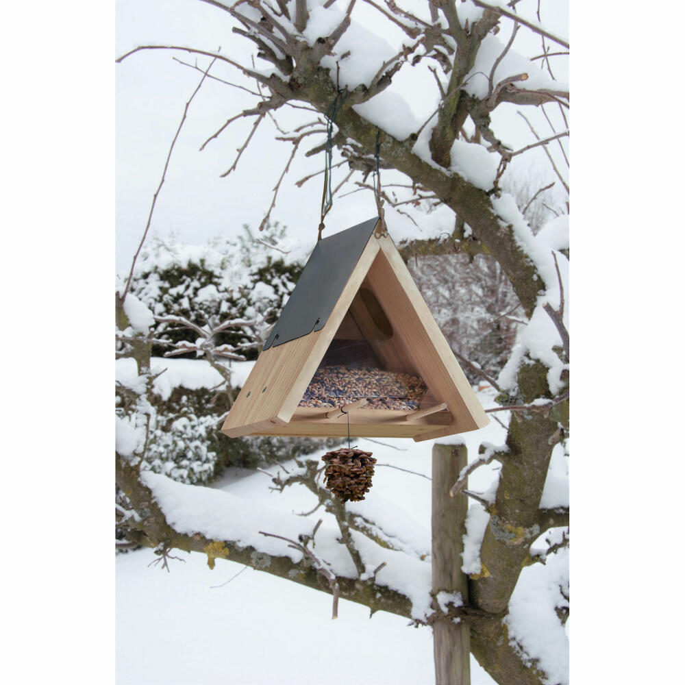 HABA Terra Kids Futterhaus-Bausatz, Vogelhaus, Futterstelle, 27.5 x 17 x 25 cm, ab 6 Jahren, 306014