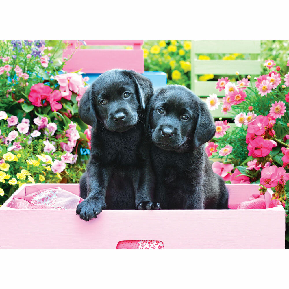 Eurographics Puzzle Schwarze Labradore in einer rosa Schachtel, 500 Teile, 68 x 48 cm, 6500-5462