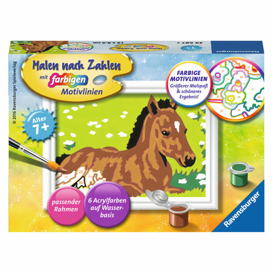 Ravensburger Paint By Numbers Little Foal, Painting Set, Coloring Page, Template, Picture, Children, Colored Motif Lines, 29687 3