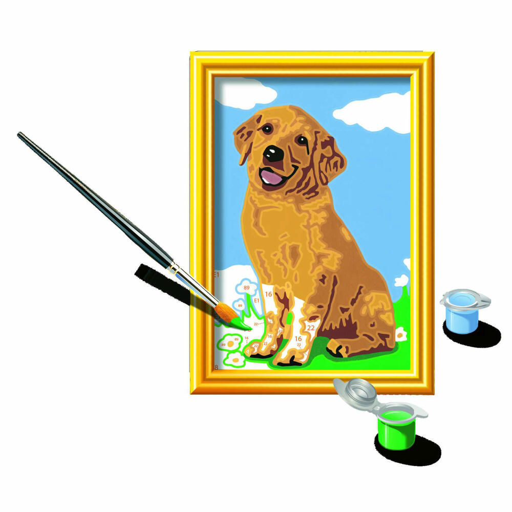 Ravensburger Paint by Numbers Little Golden Retriever, Painting Set, Coloring Page, Picture, Colored Motif Lines, 28511