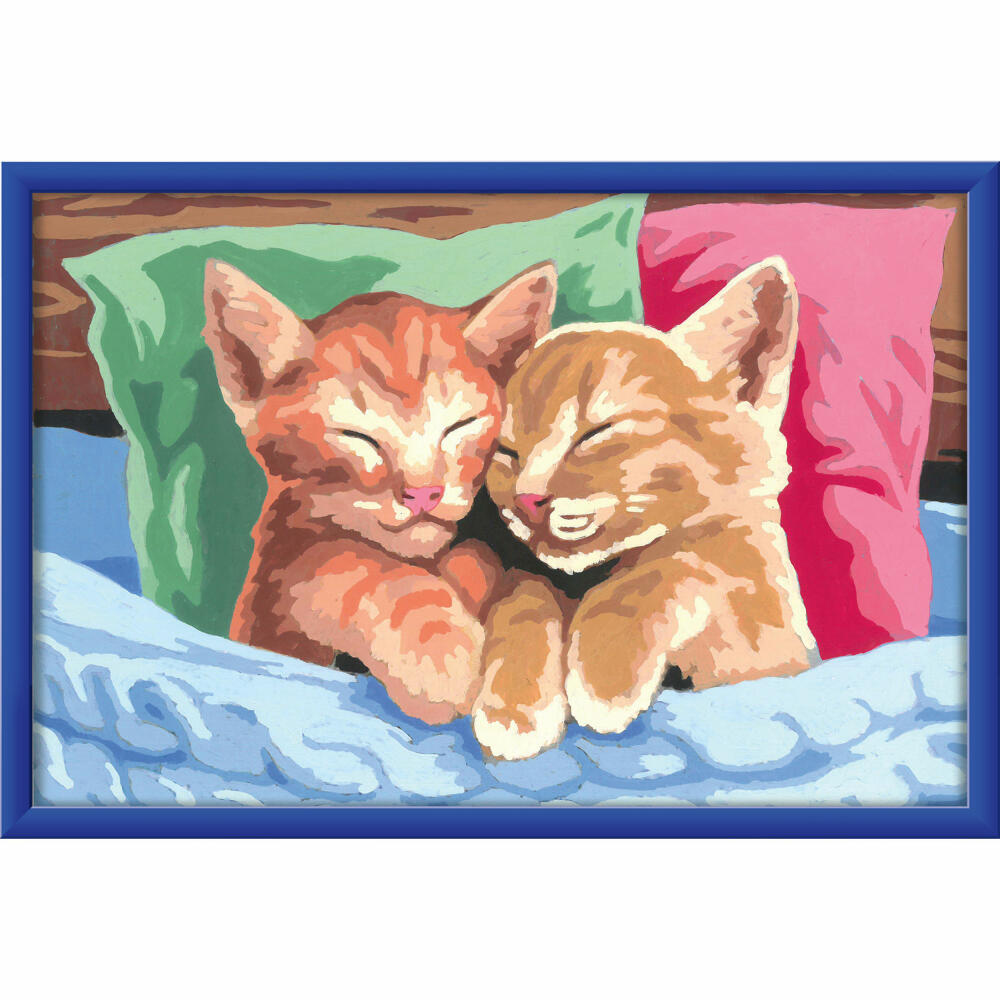 Ravensburger Paint by Numbers Cuddly Kittens, Painting Set, Coloring Page, Template, Picture, Children, 28986