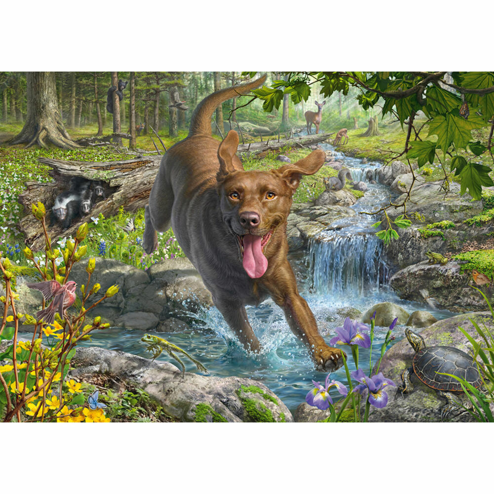 Schmidt Spiele Hundeliebe, Frühlingsspaziergang mit Labrador Retriever, Mark Frederickson, Puzzle, Erwachsenenpuzzle, 1000 Teile, 58559