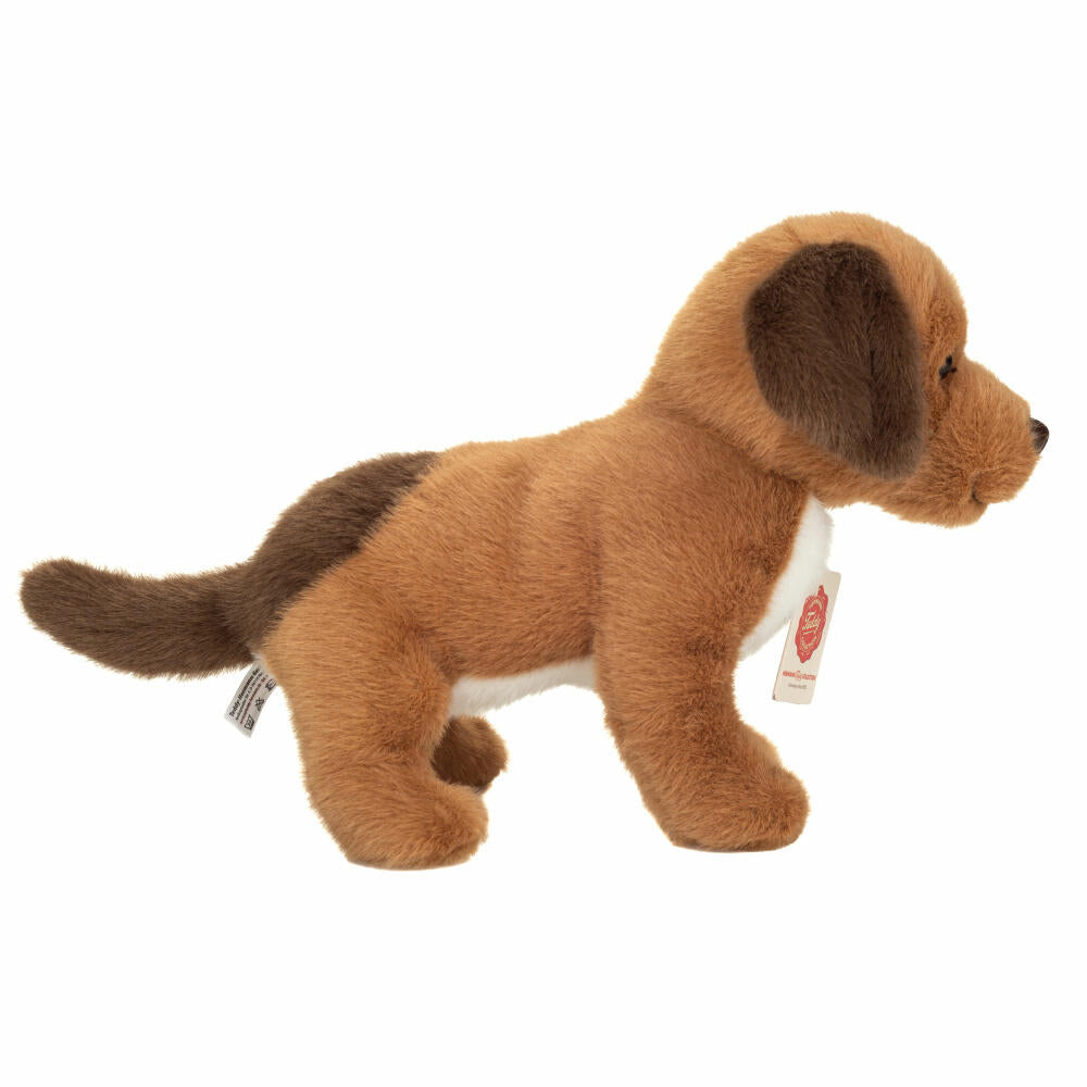 Teddy Hermann Hundewelpe Milow, Kuscheltier, Stofftier, Plüschtier, 25 cm, 919964