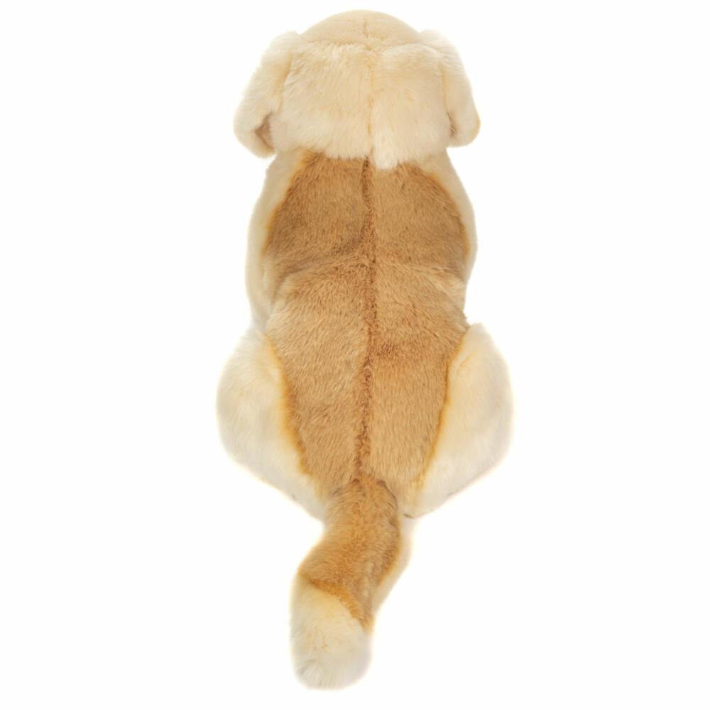 Teddy Hermann Golden Retriever Sitzend, Kuscheltier, Stofftier, Plüschtier, 50 cm, 927471