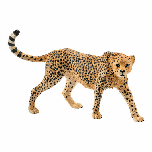 Schleich Wild Life Cheetah, Cheetah, Big Cat, Predator, Toy Figure, 10 cm, 14746