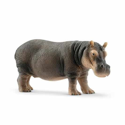 Schleich Wild Life Flusspferd, Nilpferd, Säugetier, Wildtier, Spielfigur, 6 cm, 14814
