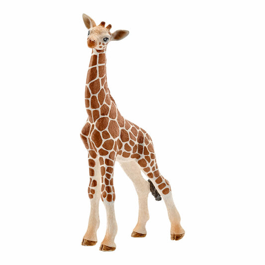 Schleich Wild Life Baby Giraffe, Giraffe, Wild Animal, Toy Figure, 11.8 cm, 14751