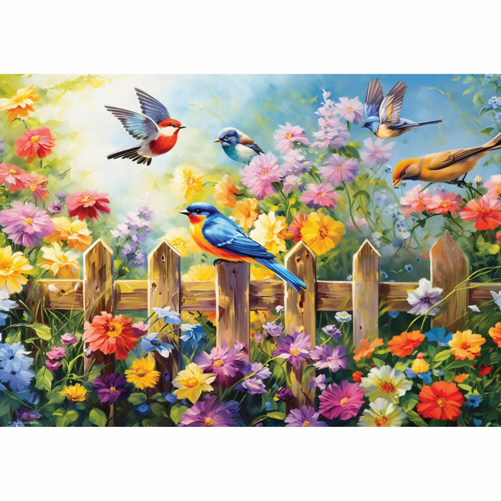 Eurographics Puzzle Gartenvögel, Bunte Vögel - Lauai, 24 Teile, 6724-6017