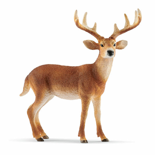 Schleich Wild Life White-tailed Deer, White-tailed Deer, Wild Animal, Toy Figure, 10.8 cm, 14818