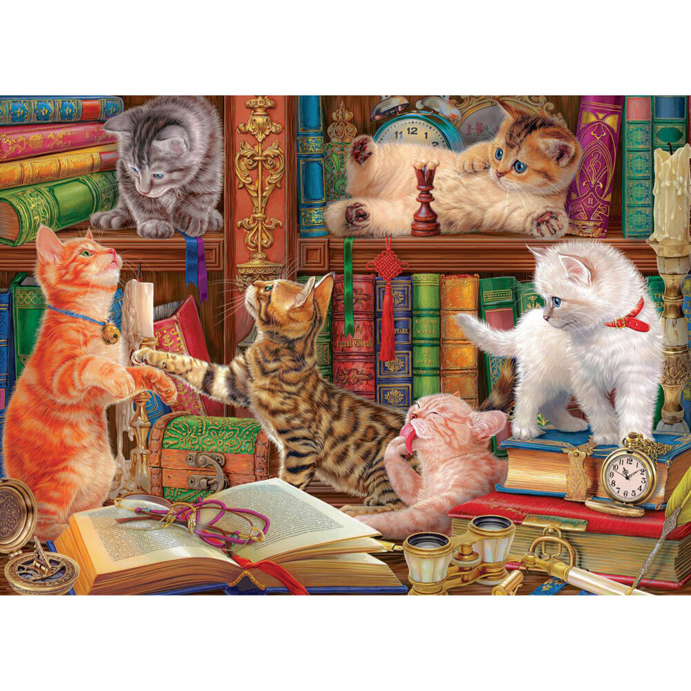 Eurographics Puzzle Kätzchen in Bibliothek - Image World, 1000 Teile, 6000-5913